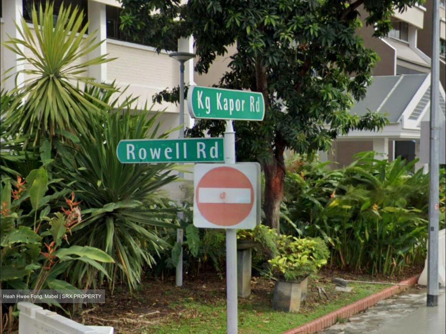 Rowell Road (D8), Shop House #488570091